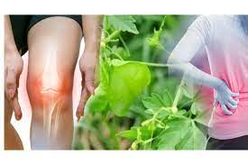 மூட்டு வலி நீங்க இயற்கை மருத்துவம்..!