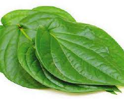 வெற்றிலை மருத்துவ பயன்கள்..!!