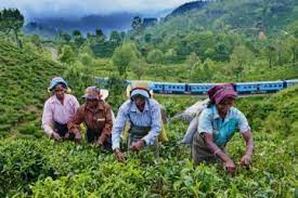 மின்சாரம் துண்டிப்பால் பல தொழிற்சாலைகள் பாதிப்படையும் நிலை.