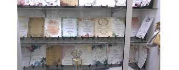 புதிய காகித தொழிற்சாலைகளை அமைக்க நடவடிக்கை.