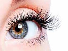 கண் முடிகளின் வளர்ச்சியை அதிகரிப்பது எப்படி?