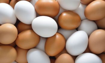 நாட்டில் திடீரென அதிகரித்த முட்டை விலை!