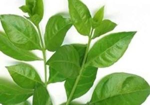 ஒரு கைப்பிடி அளவு மருதாணி இருந்தால் போதும். 3 நாட்களில்,..!!