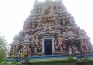 திருப்பதியில் 1 மணி நேரத்தில் தரிசனம் செய்ய சிறப்பு ஏற்பாடு.