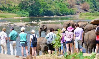 சுற்றுலா பயணிகளை ஈர்க்கும் வகையில் ஒரு வருட பல நுழைவு சுற்றுலா விசா.