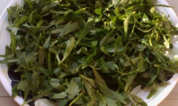 பொன்னாங்கண்ணி கீரை சாப்பிடுவதால்..!!