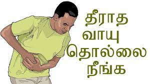 வாயு தொல்லை நீங்க வீட்டு மருத்துவம்..!!