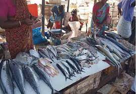 வடமாகாணத்தில் கடல் மீன்களின் விலை கடுமையாக உயர்வு.