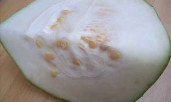 வயிற்றில் இருக்கும் வசிய மருந்தை வேரோடு வெளியே எடுக்க..!!