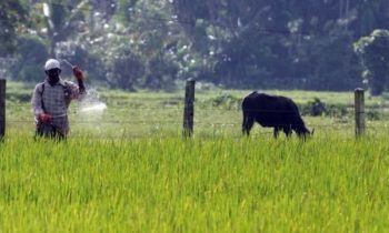 தமிழகத்திலிருந்து இலங்கைக்கு கடத்த முயன்ற ஒரு தொகை பூச்சிக்கொல்லி மருந்துகள் மீட்பு.