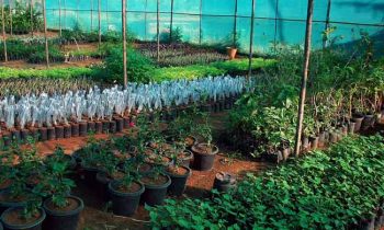 பொதுமக்களுக்கு விடுக்கப்படுள்ள விசேட அறிவிப்பு.