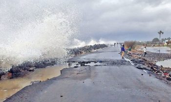 ஆந்திராவில் பலத்த மழை- 1000 ஏக்கர் பயிர்கள் சேதம்.