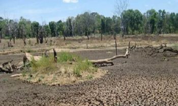 உணவுக்கு பெரும் நெருக்கடி நிலை உண்டாகும்- பொது மக்களுக்கு விடுக்கப்பட்டுள்ள எச்சரிக்கை.