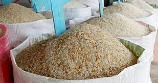 அரிசியின் விலை 1000 ரூபாவை தாண்டும்