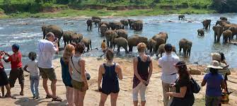 சுற்றுலாப் பயணிகளின் எண்ணிக்கை வீழ்ச்சியடைந்துள்ளது.