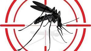 டெங்கு நோய்த்தொற்றால் பாதிக்கப்படுபவர்களின் எண்ணிக்கை சடுதிதியாக உயர்வு.