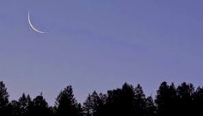 இலங்கையில் எந்தப் பகுதியிலும் புனிதா சவ்வால் மாதத்திற்கான தலைப் பிறை தென்படவில்லை.