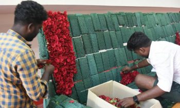 சென்னையில் முதல் முதலாக நாளை முதல் ‘மலர் கண்காட்சி’.