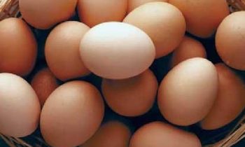 நாட்டு மக்களுக்கு அதிர்ச்சியை ஏற்படுத்திய  முட்டையின் விலை.