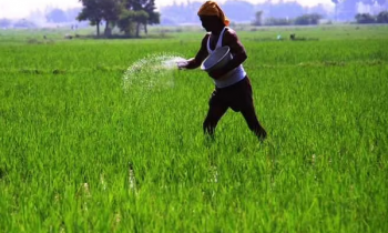 விவசாயிகளிற்கு  மகிழ்ச்சியான தகவல்.
