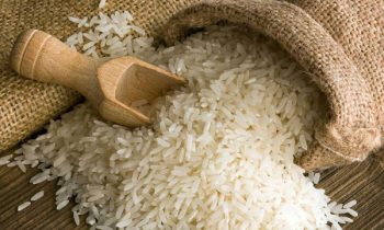 விவசாய அமைச்சு வெளியிட்ட முக்கிய தகவல்!