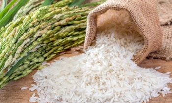 தடுப்பூசியை கொடுத்து அரிசி பெற திட்டம்.