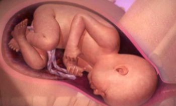 நீண்ட வருடம் குழந்தை பாக்கியம் இல்லாதவர்கள் இந்த எளிய ஆன்மீக பரிகாரத்தை செய்தால் குழந்தை பாக்கிய தடை நீங்கும் தெரியுமா?