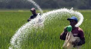 உர இறக்குமதியில் இருந்து விலகும் அரசாங்கம்.