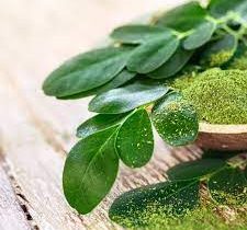 முருங்கை பொடி சாப்பிடுவதால் கிடைக்கும் அற்புத பயன்கள்.