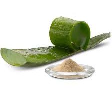 முகத்தை பிரகாசமாக மாற்றும் கற்றாழை பவுடர்.