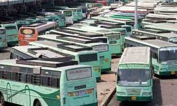 திருவண்ணாமலை பஸ்கள் புதிய பஸ் நிலையத்தில் இருந்து இயக்கப்படுகிறது.