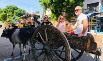 நெருக்கடி நிலையால் இலங்கையில் சுற்றுலாப்பயணிகளின் நிலை.