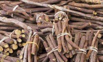 இந்த ஒரு சின்ன மரக் குச்சியை எந்த பொருளின் மேல் வைத்தாலும் அந்த பொருள் உங்கள் வீட்டில் பல மடங்காக பெருகும்.