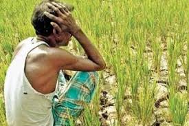 ஒரு மூடை யூரியா உரம் 10,000 ரூபா.