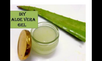 வீட்டிலேயே கற்றாழை ஜெல் தயாரிப்பது எப்படி?