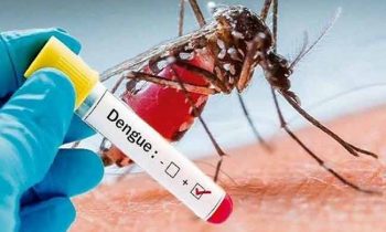 தீவிரம் அடையும் டெங்கு தொற்று.