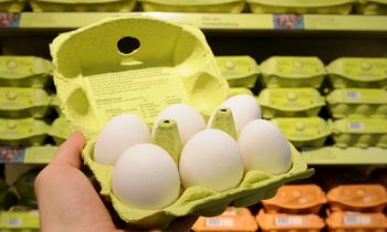 முட்டை விலையில் ஏற்பட்ட திருத்தம்.