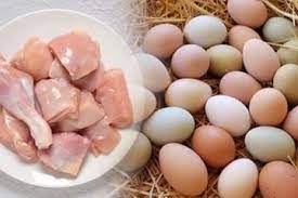 முட்டை மற்றும் கோழி இறைச்சியின் விலை மேலும் உயர்வு.