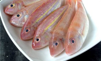 மீன்களின் விலையில் ஏற்பட்ட மாற்றம்.