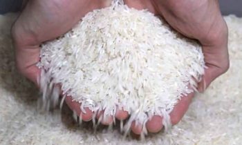 இந்த தண்ணீரில் மட்டும் தலைக்கு குளித்தால் கடன் உங்களை நெருங்காது.