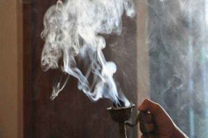 சாம்பிராணி புகையுடன் இந்த விதையை சேர்த்து தூபம் போட்டால் அபரிமிதமான தொழில் வளர்ச்சியை மகாலட்சுமி அருள் புரிவதாக சாஸ்திரங்கள் கூறுகிறது தெரியுமா?