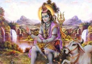 மனிதன் தினமும் விபூதி பூசிக் கொண்டால் இதெல்லாம் கூட கிடைக்குமா?