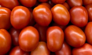 தக்காளி விலை குறைந்தது: கிலோ ரூ.40-க்கு விற்பனை.