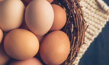 முட்டை தொடர்பான வர்த்தமானியில் எந்தவிதமான மாற்றமும் இல்லை.