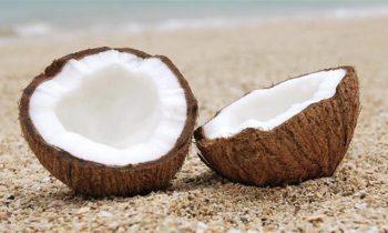 தேங்காய் உடைக்கும் போது அழுகியிருந்தால் இது தான் சகுனமா?