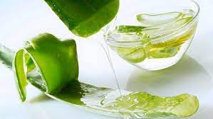 கற்றாழை ஜெல் செய்முறை..!!