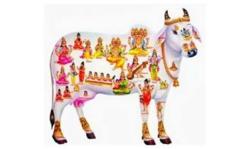 வீட்டில் தரித்திரம் நீங்கி செல்வ மழை பொழிய பசுவின் இந்த ஒரு பொருளை இப்படி பயன்படுத்தி தான் பாருங்களேன்.