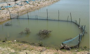 இலங்கையில் கடல் உணவுக்கு திண்டாட வேண்டிய நிலை ஏற்படும்.