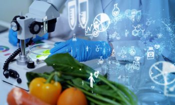 உணவின் தரம் குறித்து விசேட ஆய்வு!