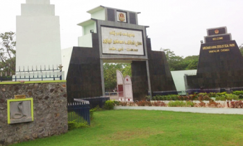 தொடர் விடுமுறை எதிரொலி- வண்டலூர் பூங்காவிற்கு 40 ஆயிரம் பேர் வருகை.